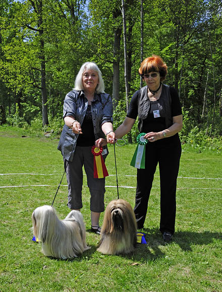 Lhasa Apso: Ariyantas Yo-An and Ti La Shu Din Din Dawa