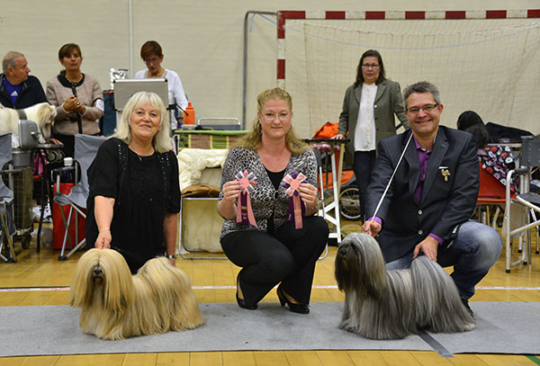 Lhasa Apso: Ariyantas Ma-Naya