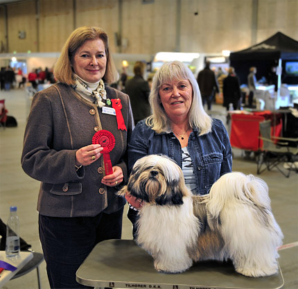 Lhasa Apso: Rebellic's It's All About The Money