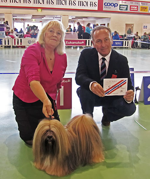 Lhasa Apso: Ti La Shu Din Din Dawa