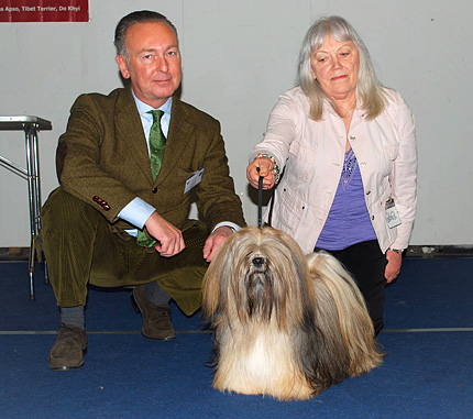 Lhasa Apso: Ti La Shu Din Din Dawa