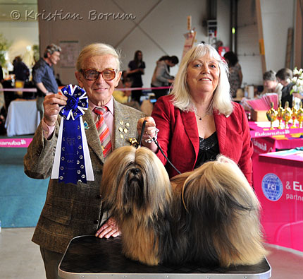 Lhasa Apso: Ti La Shu Din Din Dawa