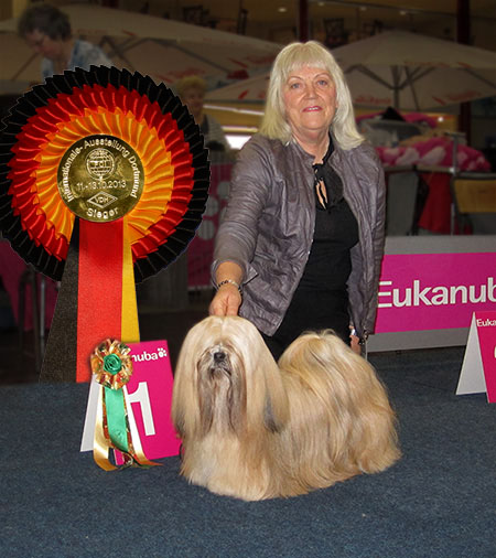 Lhasa Apso: Ariyantas Ma-Naya