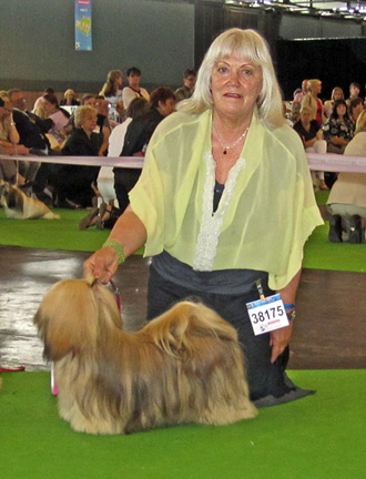 Lhasa Apso: Ariyantas Ma-Naya