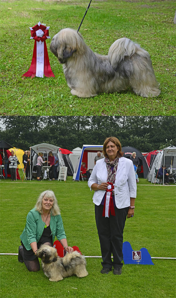 Lhasa Apso: Ariyantas Ma-Yama