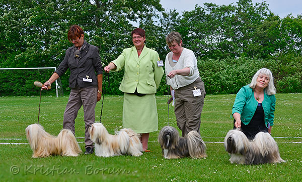 Lhasa Apso: Ariyantas Ma-Yama