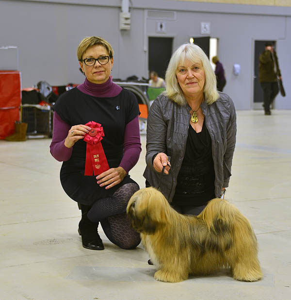 Lhasa Apso: Ariyantas Ma-Yana