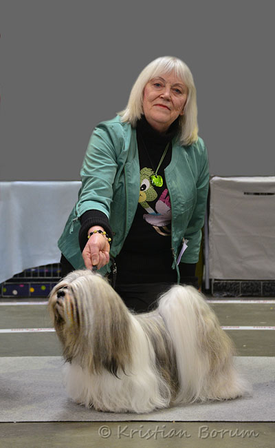 Lhasa Apso: Rebellic's It's All About The Money