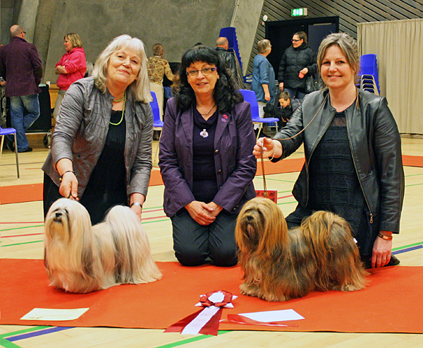 Lhasa Apso: Ariyantas Yo-An