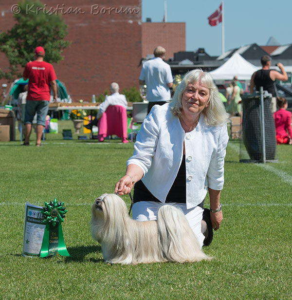 Lhasa Apso: Ariyantas Yo-An