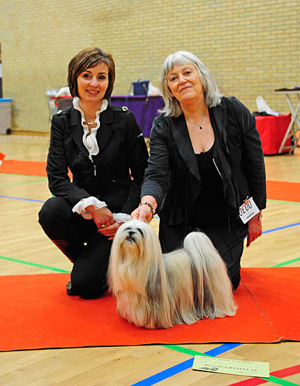 Lhasa Apso: Ariyantas Yo-An