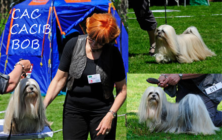 Lhasa Apso: Ariyantas Yo-An